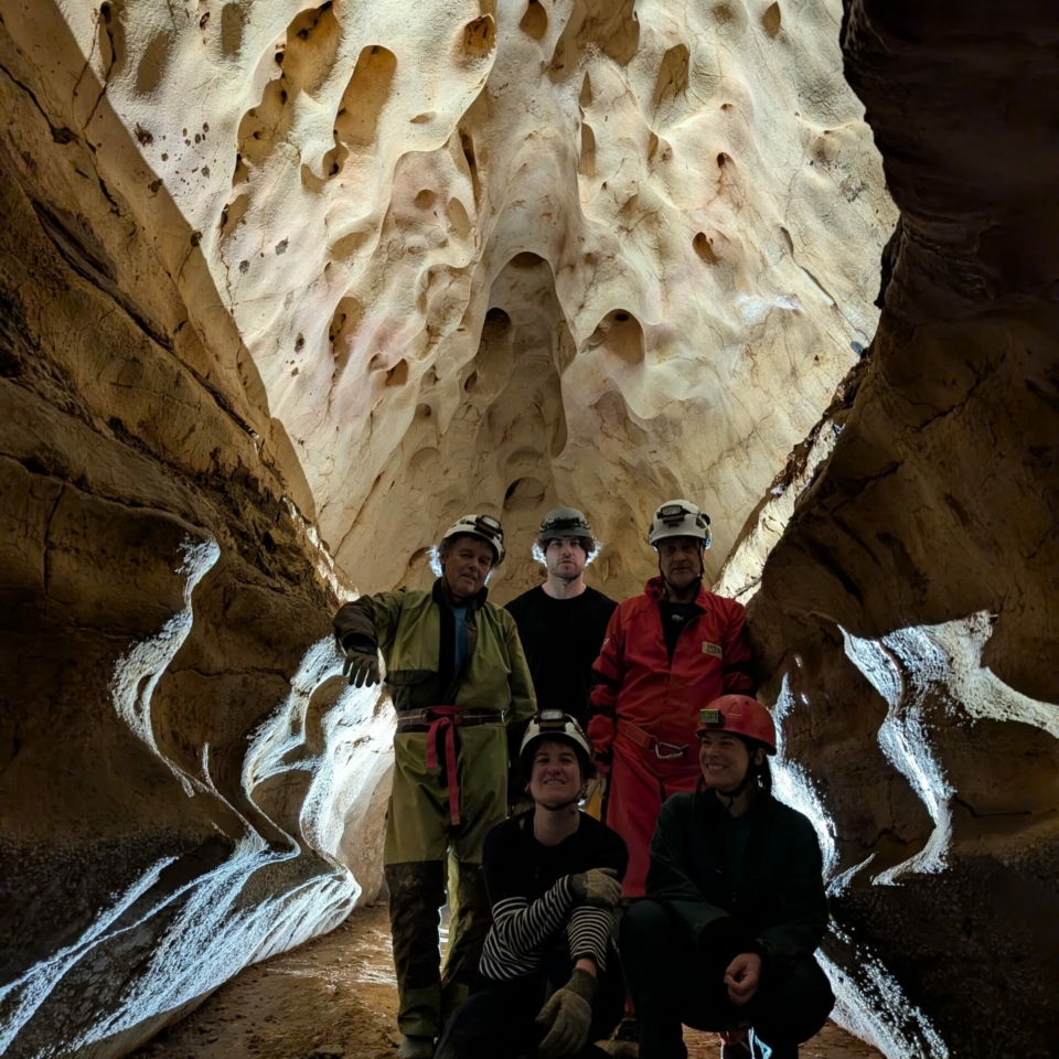 WhatsApp Image 2025-12-14 at 12.34.22 (1)